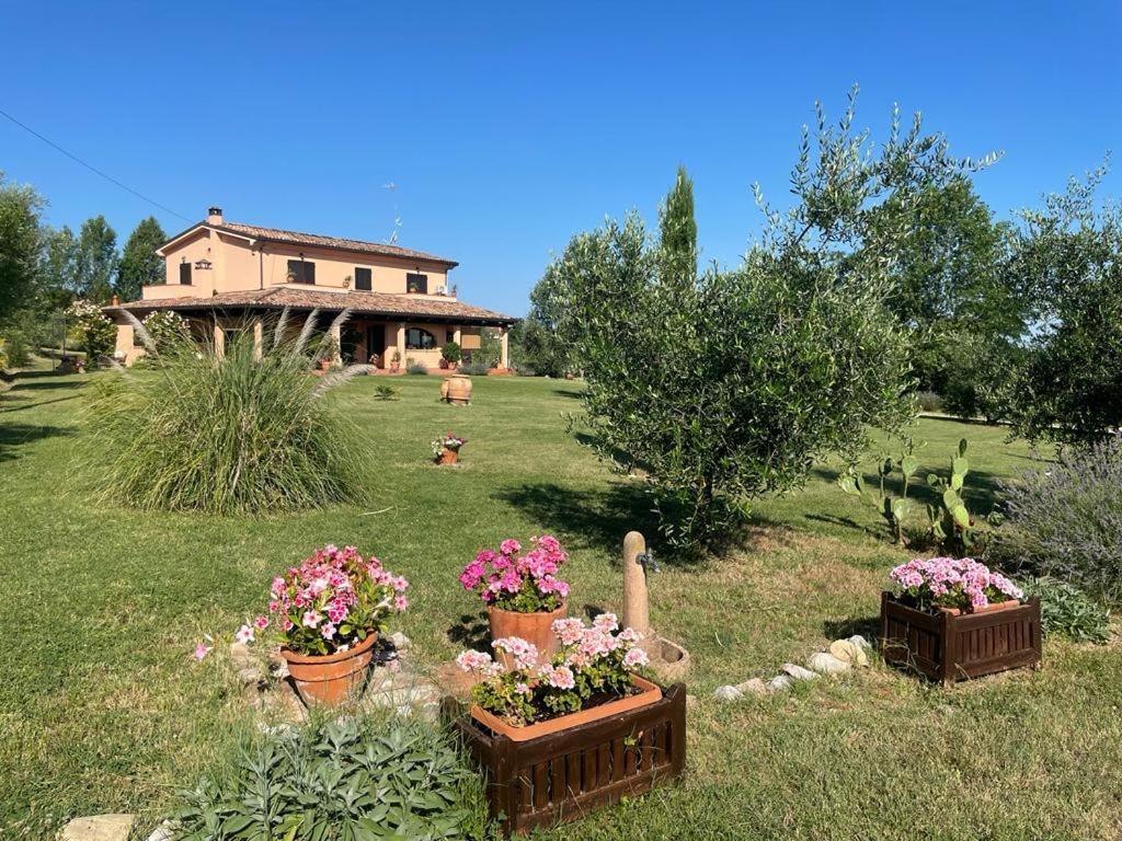 B&B Rosaverde Mulazzano Dış mekan fotoğraf